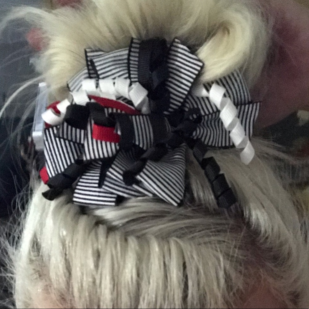 Meet your Posher, Nikki